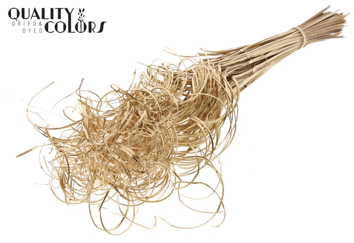 Palm Curly TT 3pc/tuft - 33 tuft/bunch Antique Gold