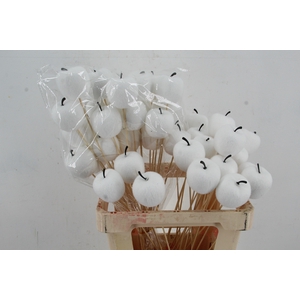 Stick Apple Flock Ø6cm White