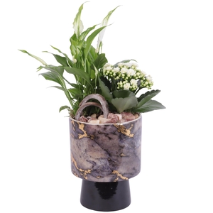 Yearround Arr. Indoor Ceramic Pure Luxury PL672 Ø14cm 2PP