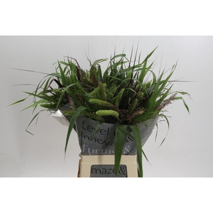 Siergrassen Gemengd in Fust