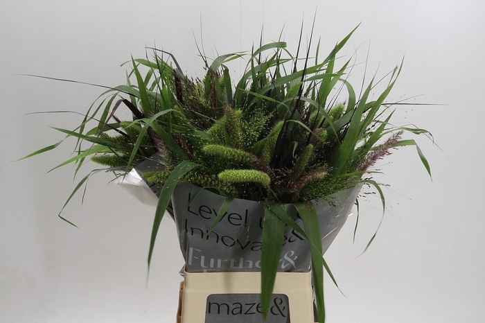 <h4>Siergrassen Gemengd in Fust</h4>