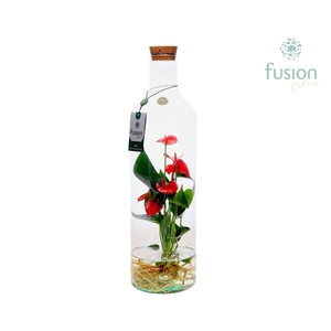 Green Bottle Fles Large met Anthurium