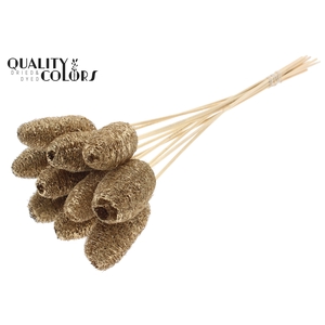 Luffa Mini on stem Antique Gold