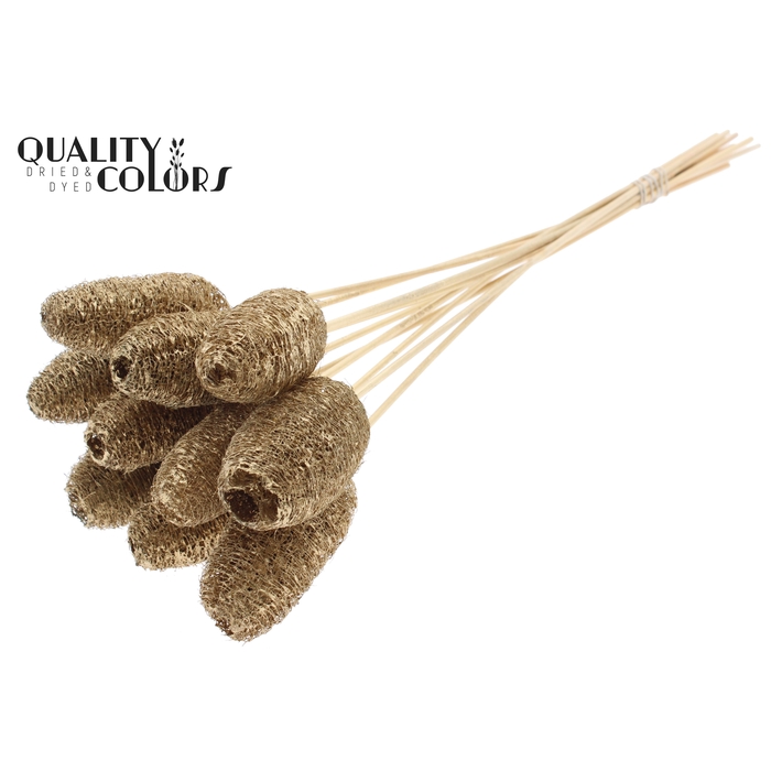 <h4>Luffa Mini on stem Antique Gold</h4>