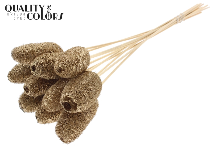 Luffa Mini on stem Antique Gold
