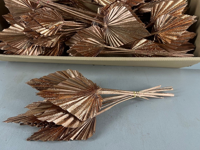 <h4>DF Palm Spear Med Copper+Gli</h4>