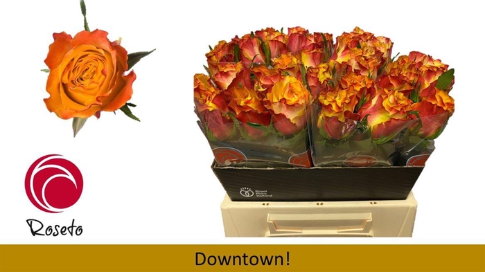 <h4>R Gr Downtown!</h4>