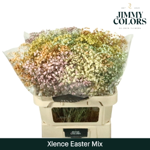 <h4>Gyps Xlence L80 Easter mix</h4>