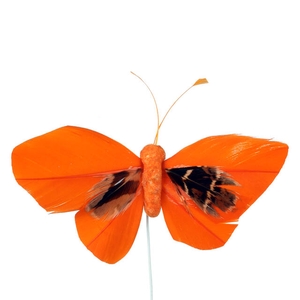 Pick Butterfly 6x10cm+12cm wire 48pcs orange