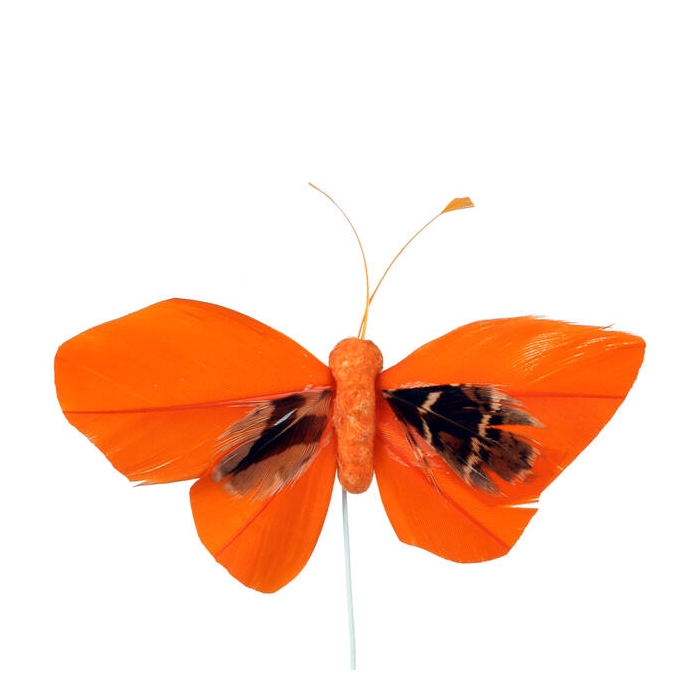 <h4>Butterfly 6x10cm+12cm Draad 48 Stuks Or. 1st/zak</h4>