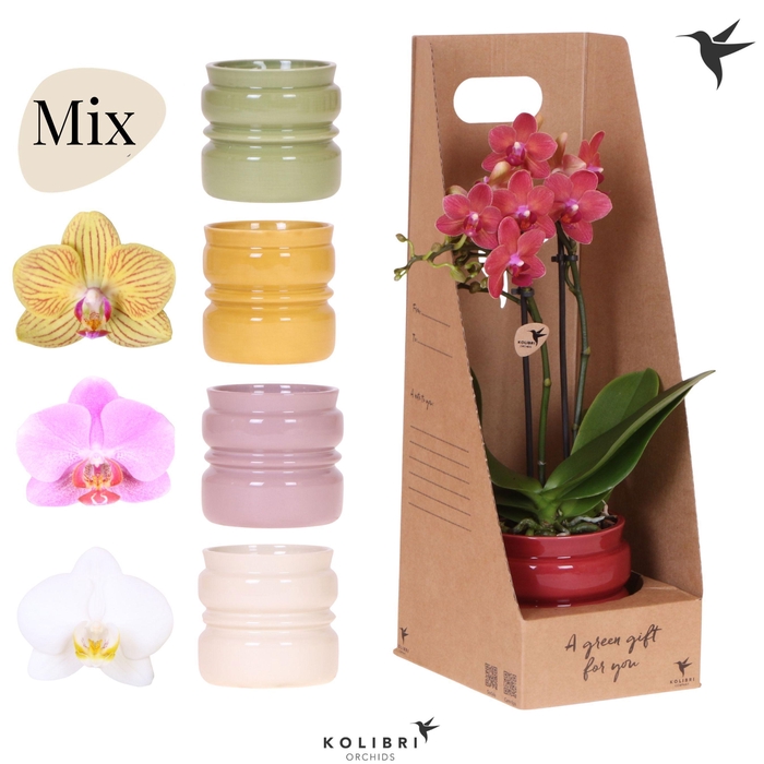 <h4>Kolibri Gift Set small Noma</h4>