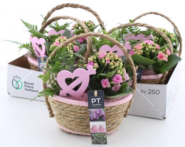 <h4>ARR KAMERPL</h4>