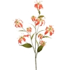 Large Gloriosa Spray x9 orange 125c