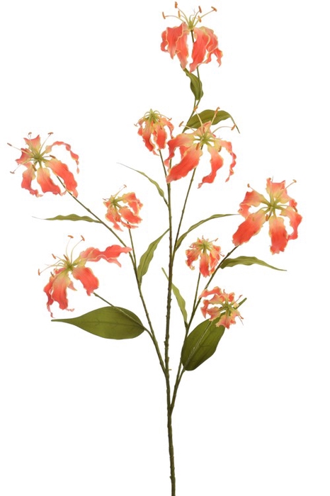 <h4>Large Gloriosa Spray x9 orange 125c</h4>