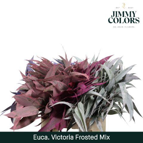 <h4>Victoriablad Gekleurd Klbh. Frosted Mix</h4>