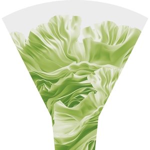 Feline 50*44*12cm x50