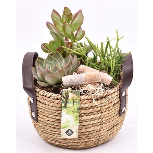 Touwmand met leer handv.18-20cm