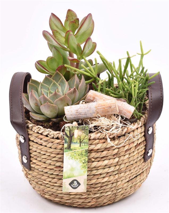 <h4>Touwmand met leer handv.18-20cm</h4>