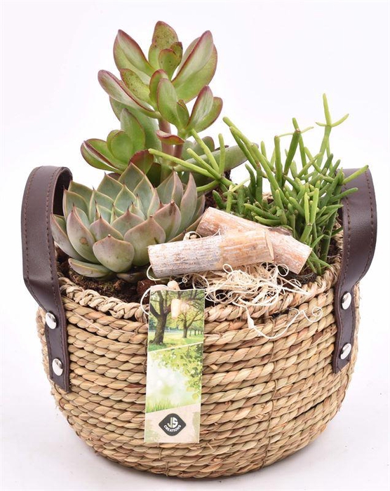 <h4>Touwmand met leer handv.18-20cm</h4>