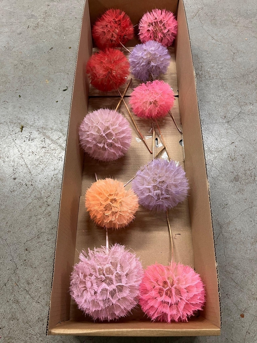 /PRES PUSTE FLOWER MIX H%