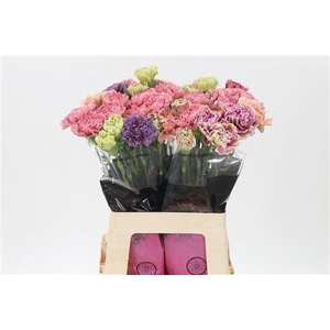 Di St Mix Vintage