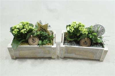 <h4>1880 HOUT WIT KISTJE HNY</h4>