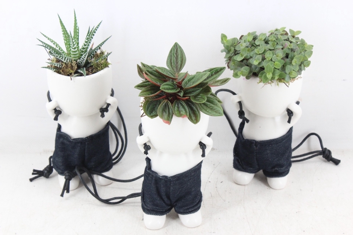 <h4>arr3 SN - Ker. chillings hang blue jeans</h4>