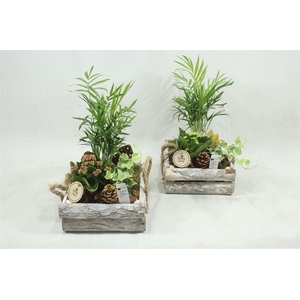 arr2 PT - Schors ww indoor