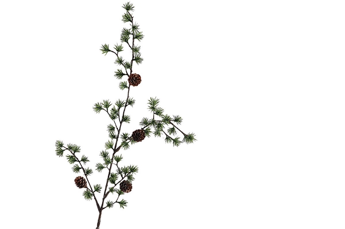 <h4>Larix Spray</h4>