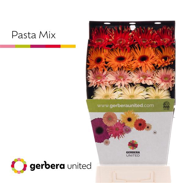 <h4>Ge Gr Pasta Mix Diamond United</h4>