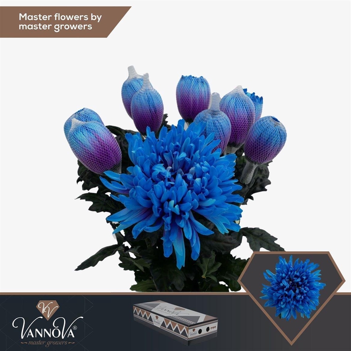 <h4>Painted Chr G Antonov Northern Light</h4>