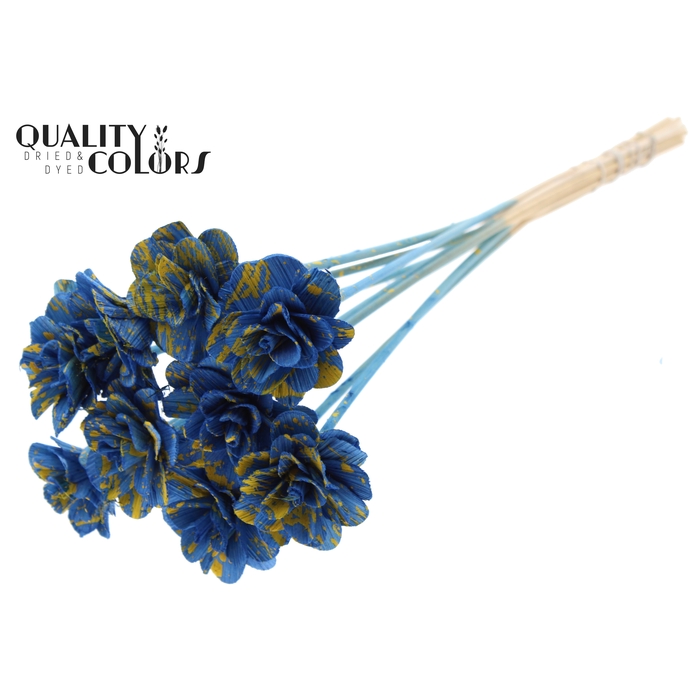 <h4>Beetal Rose 6cm on stem Splashed Blue/Yellow</h4>