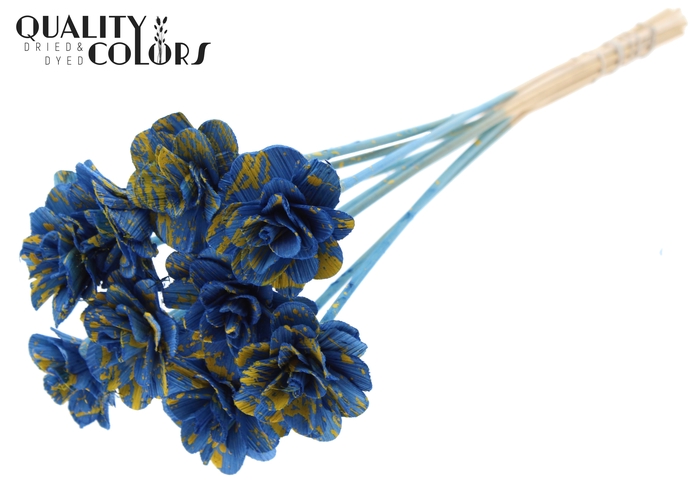 Beetal Rose 6cm on stem Splashed Blue/Yellow
