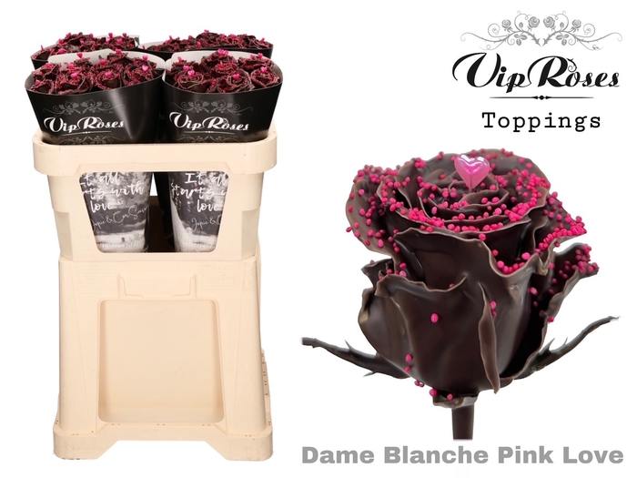<h4>R Gr Vip Dame Blanche Pink Love</h4>