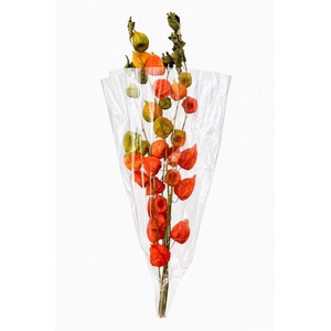 Dried Physalis Orange Nat Bunch Slv