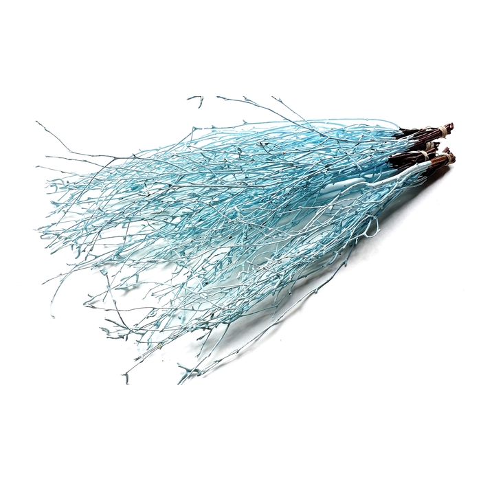 <h4>Birch 70cm 10stems per bunch Light Blue</h4>