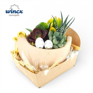 Concepts® - Chickies Succulent