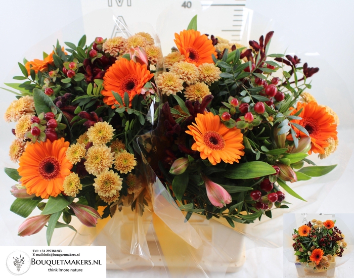 <h4>GEM BOEKET OV</h4>