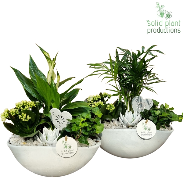 <h4>SCE005 Eyleen White Mix VM</h4>