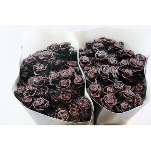 R Tr Wx Flaming Black