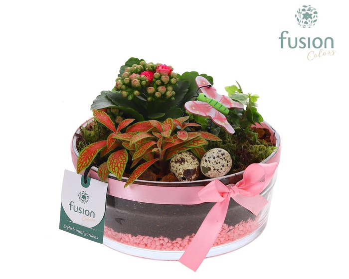 <h4>Glazen cilinder schaal met Pasen Arrangement</h4>