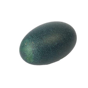 Egg Emu Resin