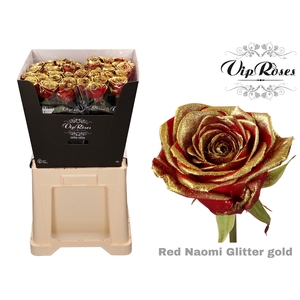 R GR RED NAOMI GLITTER GOLD