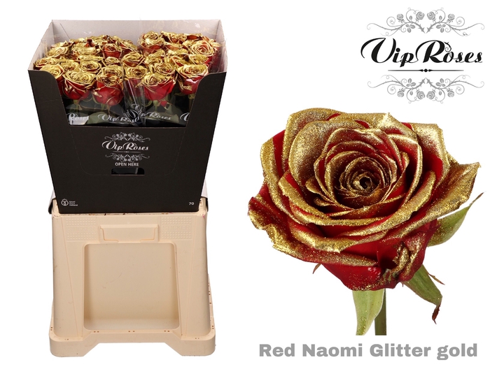 <h4>R GR RED NAOMI GLITTER GOLD</h4>