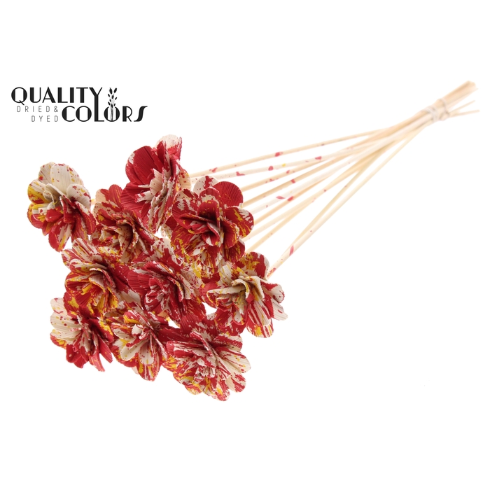 <h4>Beetal Rose 6cm on stem Multicolour Red/Yellow</h4>