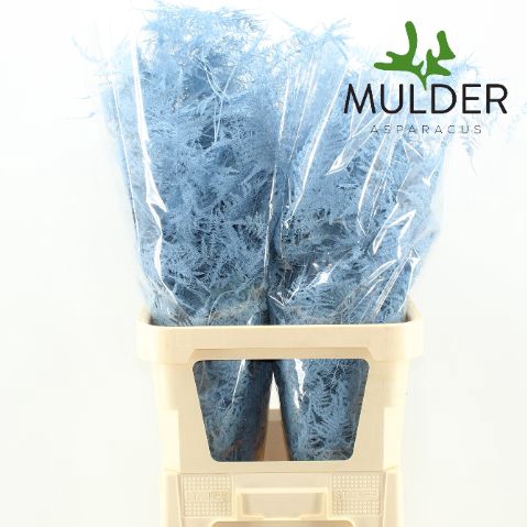 <h4>Snijgroen Light Blue Lang Get</h4>