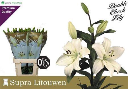 <h4>Li La Litouwen</h4>