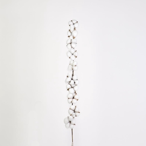 AF Cotton White 90cm 10 Ball
