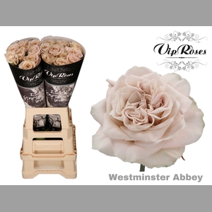R GR WMINSTER ABBEY! x20