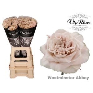 R Gr Wminster Abbey! X20